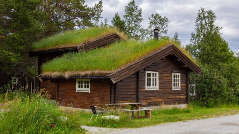 Eco-Lodging Hacks