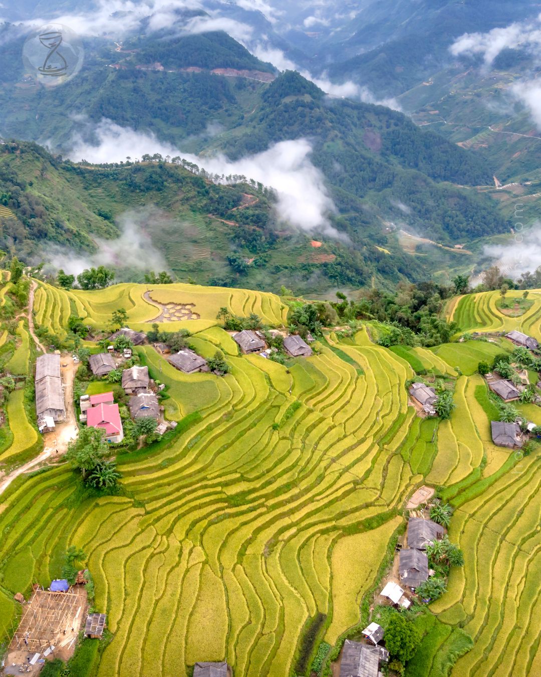 Aerial Photography of Banaue Rice Terraces