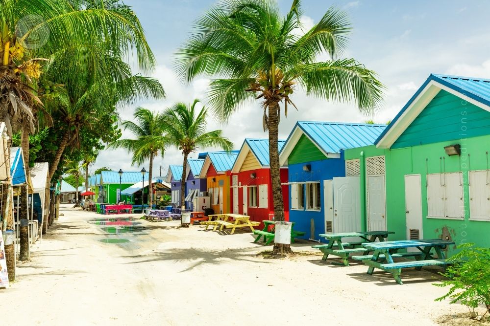 Colourful houses on the tropical island of Barbados