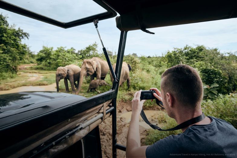 Photographing of group of elephants in Kenya