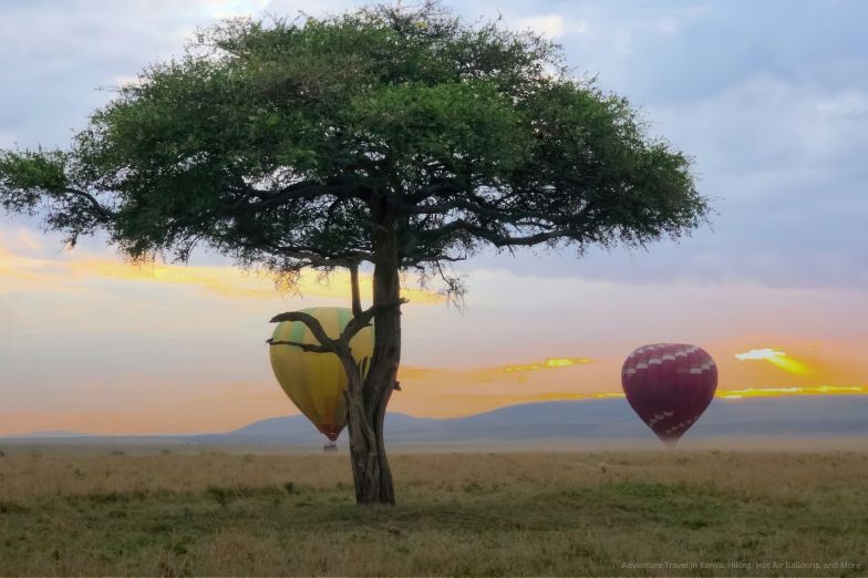 Hot air balloons flying over Kenya at sunrise