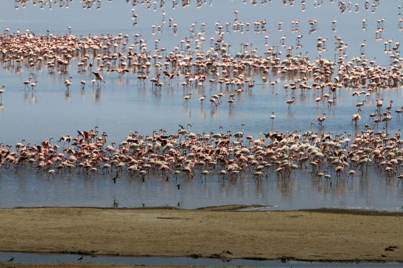 Lake Manyara, Tanzania