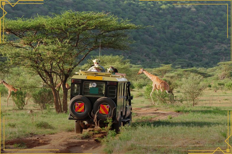 Safari Adventure in Kenya
