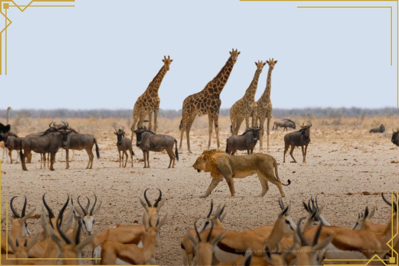 Animals in Africa